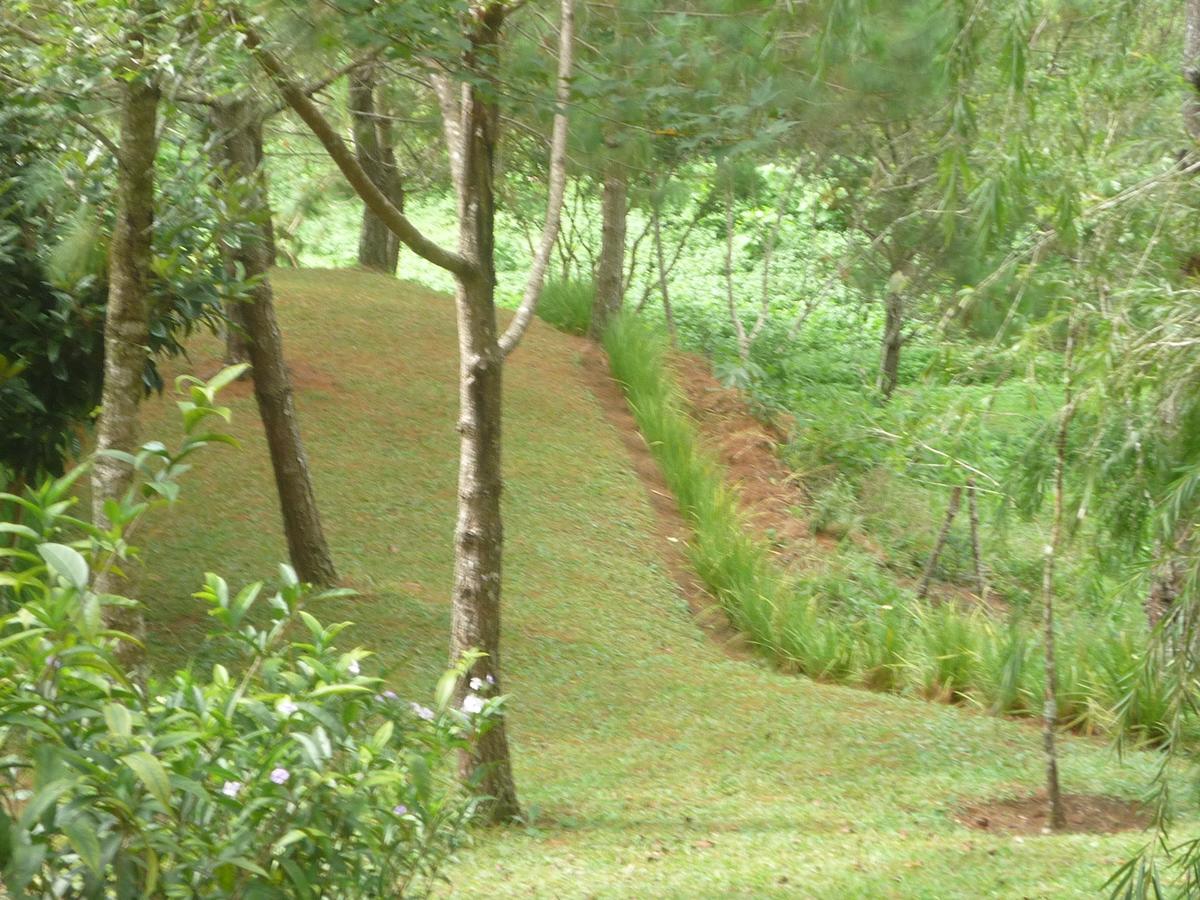 Hotel Casa Gaia Coban Exterior photo